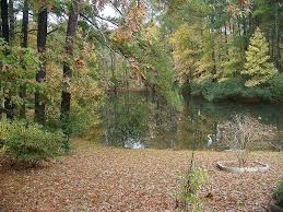 Grady Norris Obituary (07/03/1937