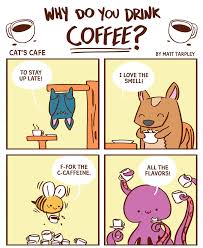 While occasional sips of coffee aren't entirely harmful to your cat, there are a few good reasons that. Cat S Cafe Do You Drink Coffee If So Tell Us