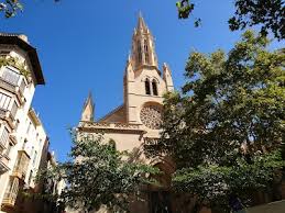 Image result for Eulalia polyneura