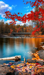 Stunning Picz Oxtongue Rrapids Algonquin Canada Beautiful Nature Scenery Scenery Wallpaper