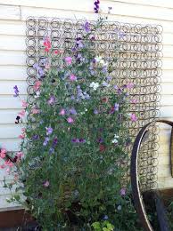 *sweet pea sees that you were. 32 Best Ideas For Sweet Pea Trellis Trellis Pea Trellis Garden Trellis