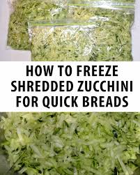 Check spelling or type a new query. How To Freeze Shredded Zucchini For Quick Breads New Life On A Homestead