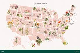 Jun 21, 2017 · why flowers make us happy how flowers stimulate dopamine, serotonin, and oxytocin. Official State Flowers For All 50 States Bouqs Blog