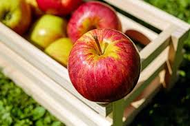 Gambar buah apel warna merah. Bagaimana Memilih Apel Yang Baik Untuk Kesehatan Halaman All Kompas Com