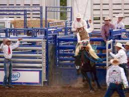 Folsom Pro Rodeo 2019 All You Need To Know Before You Go