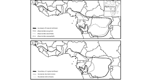 Image result for Marantochloa congensis