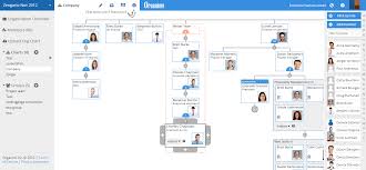 why your startup org chart is not pointless organimi medium