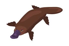 Download Platypus Svg Cut File By Creative Fabrica Crafts Creative Fabrica SVG Cut Files