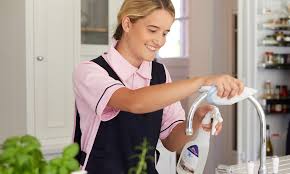 1 you're busier at work than i am. Cleaning Expert Reveals The Top Tips To Protect Your Home From Coronavirus Daily Mail Online