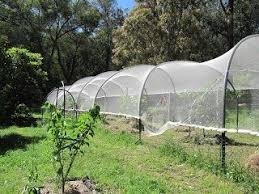 Bird Netting Structures For Fruit Trees Bird Netting For Fruit Trees Bird Netting Fruit Trees Fruit Garden