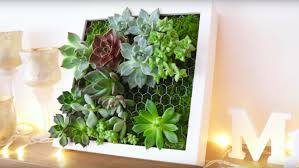 Cadre Vegetal Avec Plantes Grasses Ikea Tableau De Succulentes Cadre Vegetal Succulentes Deco Grillage A Poule