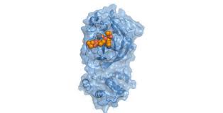 163,000+ vectors, stock photos & psd files. Coronavirus Therapies Slowed By Intermittent Nature Of Outbreaks Purdue University News