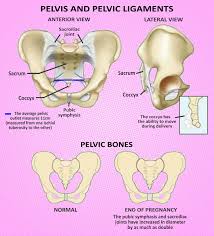 Pin On Health