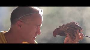 Джеймс Доран-Уэбб (James Doran-Webb) — скульптор — JuicyWorld