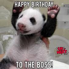Happy Birthday Boss Memes