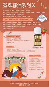 聖誕精油系列x festival theme festival young living