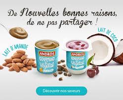 Andros Gourmand Et Vegetal Enfin Des Desserts Vegetaux Gourmands Dessert Sans Lait Gourmands Nourriture Chien