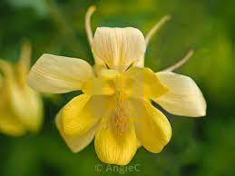 Pin On Picfair Pics