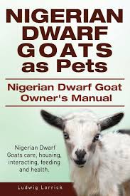 Nigerian Dwarf Goats As Pets Nigerian Dwarf Goat Owners Manual Nigerian Dwarf Goats Care Housing Interacting Feeding And Health Paperback Walmart Com In 2020 Dwarf Goats Nigerian Dwarf Goats Goat Care