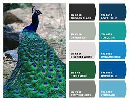 Green granite kitchen countertops have a smooth, rich, and relaxing feeling which matches perfectly with many kitchen designs. I Just Spotted The Perfect Colors Peacock Color Scheme Paint Color Schemes Color Palette
