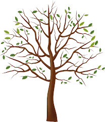 Tree Images Tree Seedlings Apple Iphone Wallpaper Hd