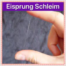 Bei mir ist der schleimhöhepunkt eindeutig 2 tage vor dem eisprung. Eisprung Schleim Wie Sieht Er Aus