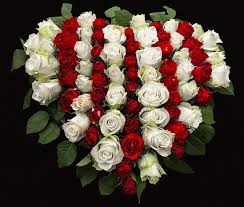We did not find results for: Donations In Lieu Of Flowers Funeral Directors Newcastle Upon Tyne