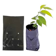SACO MUDAS PLASTICO -  09X18CM