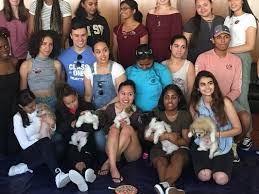 High quality foods are available for nearly all pet types whether you have a dog, cat, reptile, fish, small animal or feathered friend. Puppy Paradise 105 Photos 92 Reviews Pet Stores 2082 Flatbush Ave Brooklyn Ny Phone Number