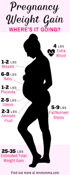 Pin On Pregnancy From Minnesota Momma