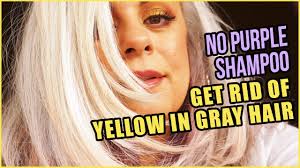 For vibrant gray hair, consume proteins, healthy fats, and vitamins. Get Rid Of Yellowing Of Gray Hair Maryam Remias Youtube