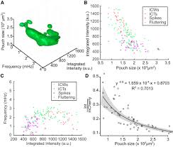 95.8fm in the klang valley and varies in other parts. Decoding Calcium Signaling Dynamics During Drosophila Wing Disc Development Biophysical Journal