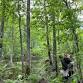 Oct 25 – A Closer Look at Wooded Wetlands event image