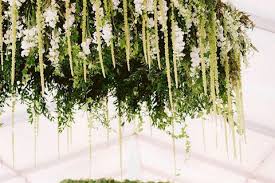 We did not find results for: Flower Network Putnam Flower Channel