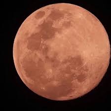 According to the website people.com, the pink moon will be visible in the pink moon is usually 7 per cent bigger and 15 per cent brighter than the regular full moon. Pink Supermoon Seen Around The World Bbc News