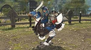 As soon as you unlock your combat buddy you actually have the ability to. How To Get Your Ffxiv Chocobo Mount Final Fantasy Xiv