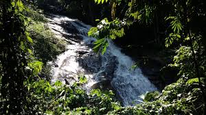 Jalan pun sunyi, lorong pun kecik, kiri kanan hutan. Mohd Faiz Bin Abdul Manan Air Terjun Sungai Gabai
