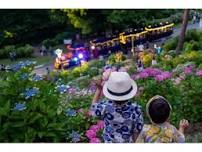 Hydrangea Festival at Taikoyama Land