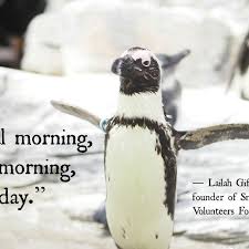 My name is jimmy, but my friends just call me the hideous penguin boy. 10 Totally True Quotes About Morning People