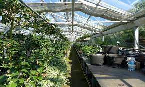 It requires a lot less of a commitment than you think. Starting A Plant Nursery Business Profitable Business Plan Expert Market