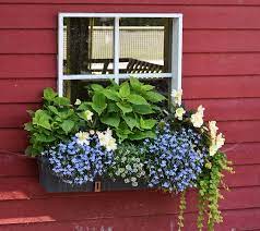 Sold and shipped by best choice products. Winter Window Box Ideas That Will Look Great All Year Greenwood Nursery