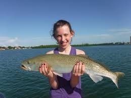 Big Speckled Trout For Emily From The Uk On A Sarasota Fishing Charter With Capt Jim Klopfer Trout Fishing Fishing Charters Fish