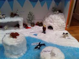 Tundra Biome In A Box Project Arctic Tundra Diorama Biomes Project Habitats Projects Diorama Kids