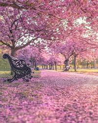 Promise Park Jimin In 2021 Greenwich Park Beautiful Nature Beautiful Landscapes