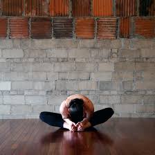 Open Lizard Tight Hips Health Fitness