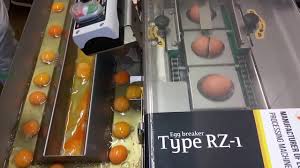 It can be also called egg crate making machine or egg box making machine. Single Row Egg Breaker Rz 1 Client From Germany Wybijarka Jednorzedowa Rz 1 By Ovo Tech Youtube