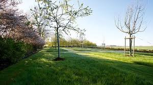 Grafgarten Akademie Garten Garten Ideen Gartengestaltung