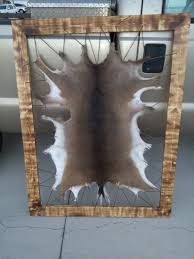 Pb S Deer Hide Frame Animal Hide Decor Hunting Cabin Decor Deer Hunting Decor