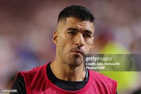 4,001 John Suarez Stock Photos, High-Res Pictures, and Images