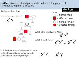 ib biology 3 4 inheritance